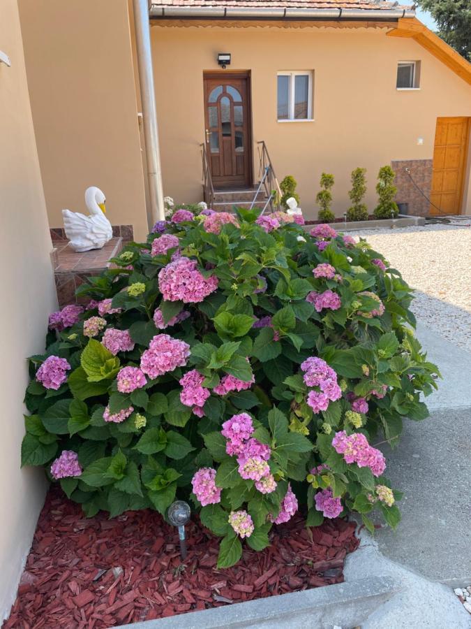 Toerpi Apartman Halmaj Exterior photo